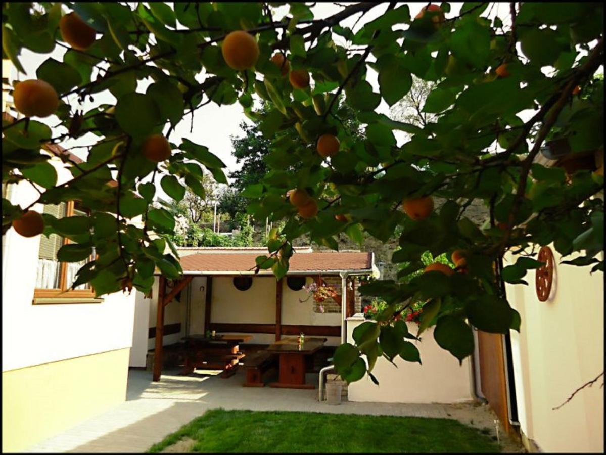 Penzion Reva Valtice Exterior foto
